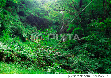 Surrounded by greenery, Omengataki 1 Shinonsen-cho, Mikata-gun, Hyogo Prefecture Surrounded by greenery, Omengataki 1 Shinonsen-cho, Mikata-gun, Hyogo Prefecture 99452764