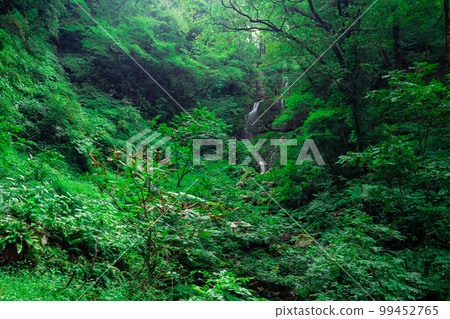 Surrounded by greenery, Omengataki 2 Shinonsen-cho, Mikata-gun, Hyogo Prefecture Surrounded by greenery, Omengataki 2 Shinonsen-cho, Mikata-gun, Hyogo Prefecture 99452765