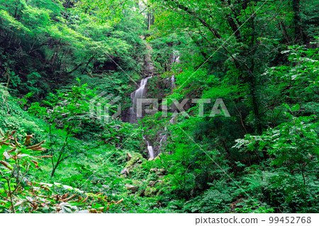 Surrounded by greenery, Omengataki 5, Shinonsen-cho, Mikata-gun, Hyogo Prefecture Surrounded by greenery, Omengataki 5, Shinonsen-cho, Mikata-gun, Hyogo Prefecture 99452768
