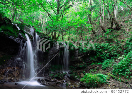 Surrounded by greenery, Sarutsubo Falls 5, Shinonsen-cho, Mikata-gun, Hyogo Prefecture 99452772