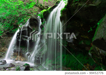 Surrounded by greenery, Sarutsubo Falls 9, Shinonsen-cho, Mikata-gun, Hyogo Prefecture 99452776