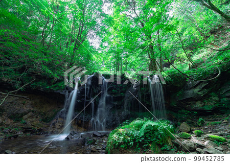 兵庫縣三方郡新論仙町綠樹環繞的猿壺瀑布17 99452785