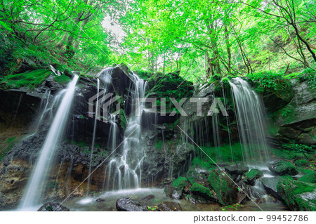 Sarutsubo Falls surrounded by greenery 18, Shinonsen-cho, Mikata-gun, Hyogo Prefecture 99452786