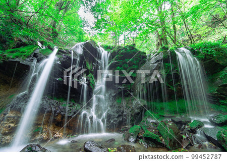 Surrounded by greenery, 19 Sarutsubo Falls, Shinonsen-cho, Mikata-gun, Hyogo Prefecture Surrounded by greenery, 19 Sarutsubo Falls, Shinonsen-cho, Mikata-gun, Hyogo Prefecture 99452787