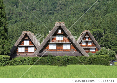 Shirakawa-Go Gosei building 99453234