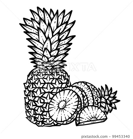 Summer Pineapple Line Art Coloring Page for Adult 99453340