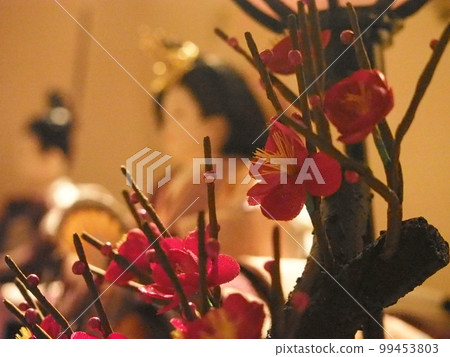 Hina Matsuri 99453803