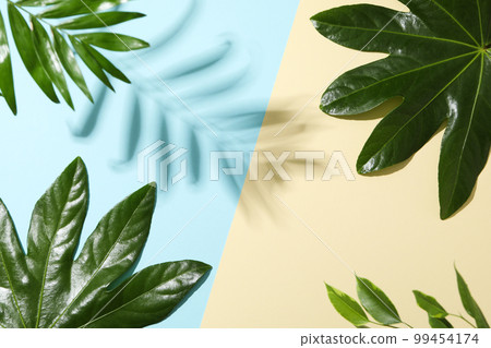 Concept of summertime, leaves, summer and nature concept 99454174