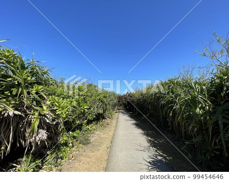宮古島通往海濱長廊到托里池的道路 宮古島通往海濱長廊到托里池的道路 99454646