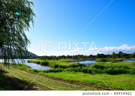 夏季的上關瀉公園（新潟市） 99454982