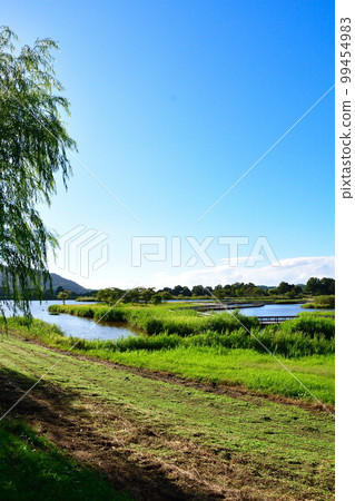 夏季的上關瀉公園(新潟市) 夏季的上關瀉公園(新潟市) 99454983
