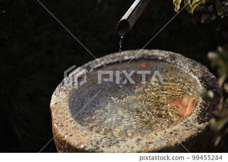 water bottle and autumn leaves water bottle and autumn leaves 99455284