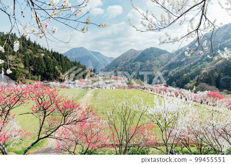 Achi Village, Nagano Tsukikawa Onsen, a superb view of Hanamomo no Sato 99455551