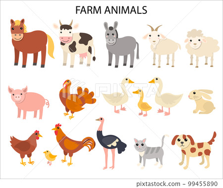 Cartoon farm animals in flat style isolated on white background. Horse and cow, donkey and sheep, pig and turkey, goose and rabbit, hen and cock, ostrich and cat, dog and goat. 99455890