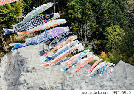 Carp streaming flying in the wind Carp streaming flying in the wind 99455990