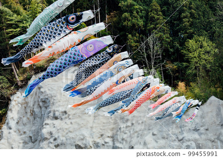 Carp streaming flying in the wind Carp streaming flying in the wind 99455991
