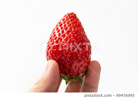 Kingsberry Strawberry Kingsberry Strawberry 99456995
