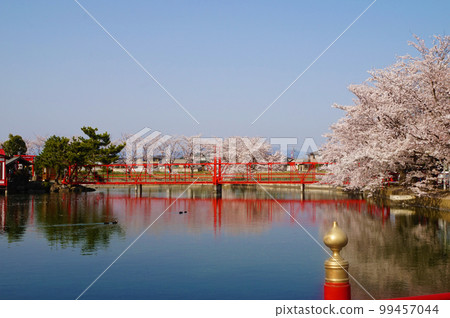 禦嶽山、白龍神社、五反田濕地、櫻花 禦嶽山、白龍神社、五反田濕地、櫻花 99457044