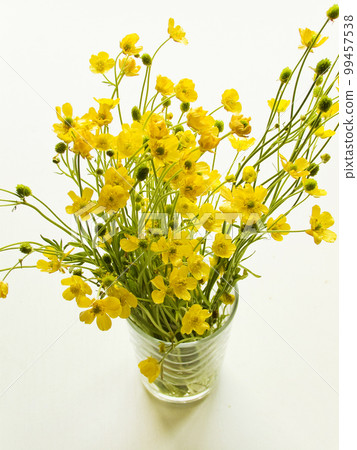 Wild buttercup flowers Wild buttercup flowers 99457538