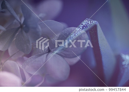Beautiful multiple exposure photos of traditional Japanese culture of folded paper cranes and hydrangeas 99457844