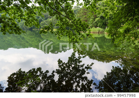 Koumi Town, Nagano Prefecture, Summer, Lake Matsubara 99457998