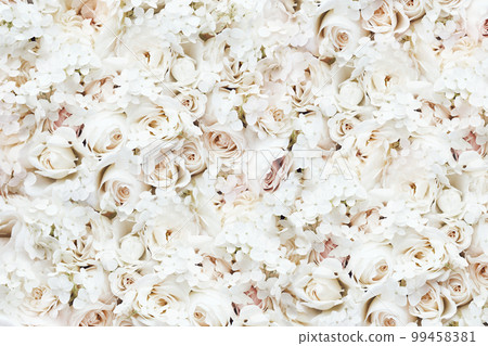 Delicate blooming festive roses and white hydrangea flowers, blossoming rose flower soft pastel background, wedding bouquet floral card, flowerwall image 99458381