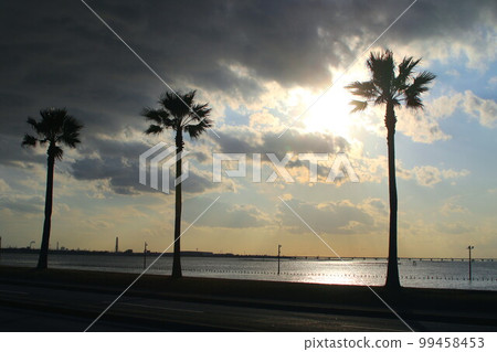 Chiba Fornia Chiba Fornia 99458453