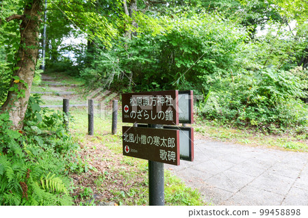 Koumi Town, Nagano Prefecture, Summer, Lake Matsubara, Lakeside Promenade Koumi Town, Nagano Prefecture, Summer, Lake Matsubara, Lakeside Promenade 99458898