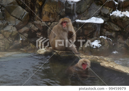 A monkey holding a child Nagano 99459979
