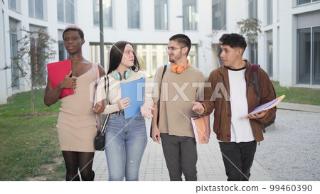 Content multiethnic students talking about studies on street Content multiethnic students talking about studies on street 99460390