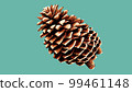 Illustration of pinecone with emerald green background 99461148