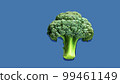 Broccoli illustration with blue background 99461149