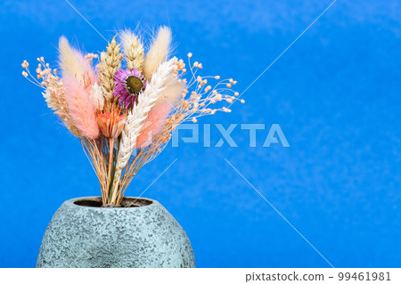 bouquet of dried plants in ceramic vase on blue 99461981