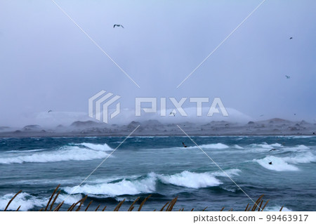 winter storm. Commander Islands winter storm. Commander Islands 99463917