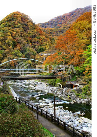 Kinshu's Kawaji Onsen Village... The view of the Ojika River from the window of a hot spring inn Kinshu's Kawaji Onsen Village... The view of the Ojika River from the window of a hot spring inn 99463992