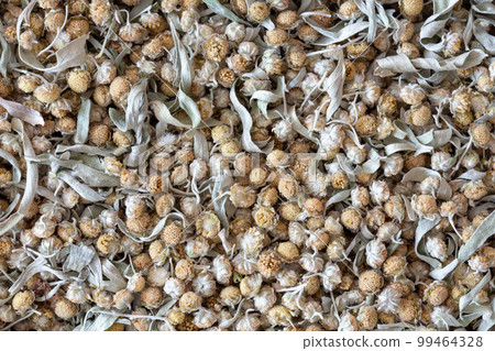 Dried absinthe wormwood herb background, top view, artemisia absinthium, macro texture. 99464328