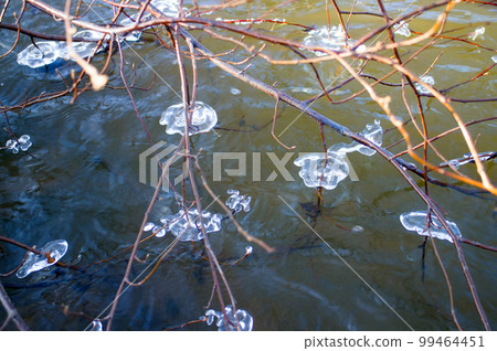 natural surroundings spring is everywhere 99464451