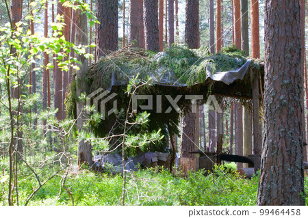 camping outdoor with tent in woods in summer camping outdoor with tent in woods in summer 99464458