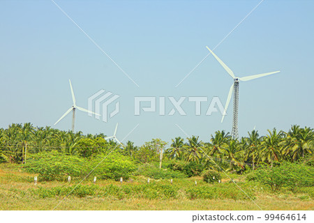 Energy alternatives 6. Wind farm in Indian province of Kerala. 99464614