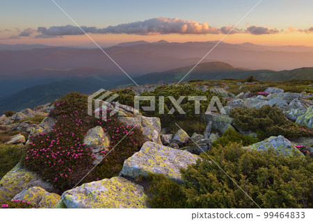 Beautiful evening in the mountains Beautiful evening in the mountains 99464833