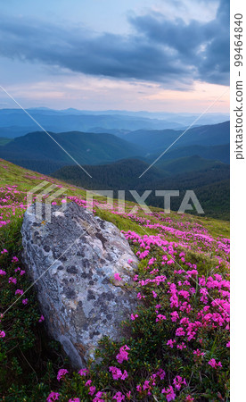 Evening in the Mountains Evening in the Mountains 99464840