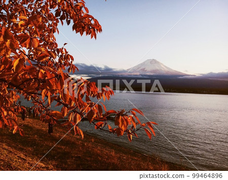Mt. Fuji at dusk from Lake Kawaguchi Mt. Fuji at dusk from Lake Kawaguchi 99464896