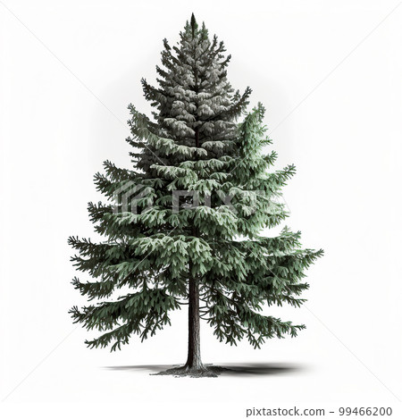 Green spruce tree isolated Illustration Generative AI 99466200