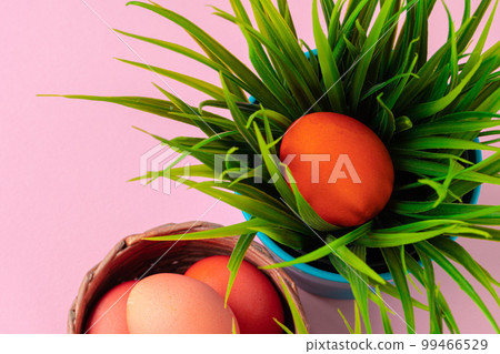 Colored eggs for Easter with pot of artificial grass Colored eggs for Easter with pot of artificial grass 99466529