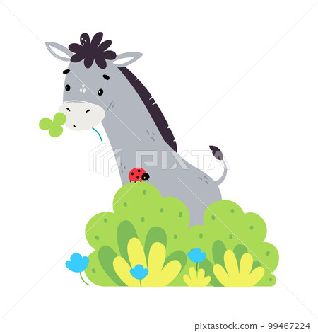 Cute donkey grazing in pasture. Adorable farm animal on nature cartoon vector illustration 99467224