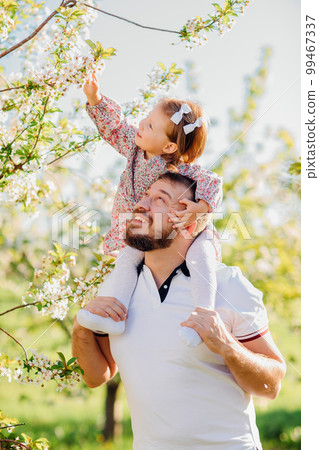 Dad plays and rolls on the shoulders his little daughter in a spring garden. Dad plays and rolls on the shoulders his little daughter in a spring garden. 99467337