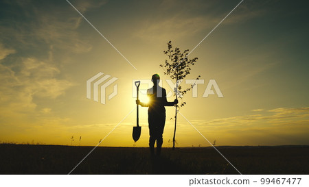 farmer sunset with seedling shovel walks across field. farmer silhouette. Agriculture. farming concept. fresh new tree plant garden. planting tree park sun glare. rural lands. farm work field summer 99467477