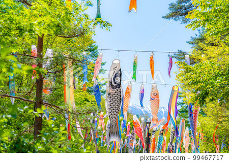 [Early summer material] Carp streamers swimming in the sky [Nagano] 99467717
