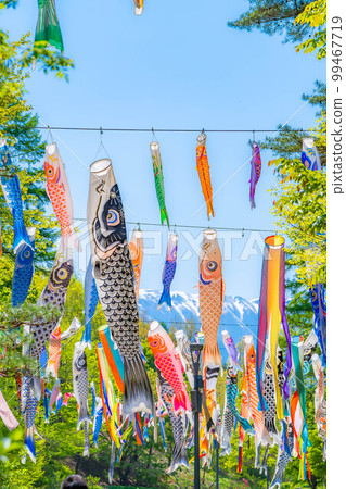 [Early summer material] Carp streamers swimming in the sky [Nagano] 99467719