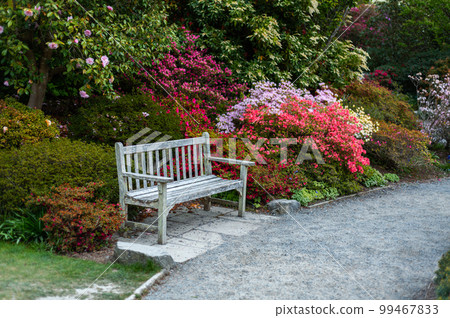Garden with blooming trees during spring time Garden with blooming trees during spring time 99467833